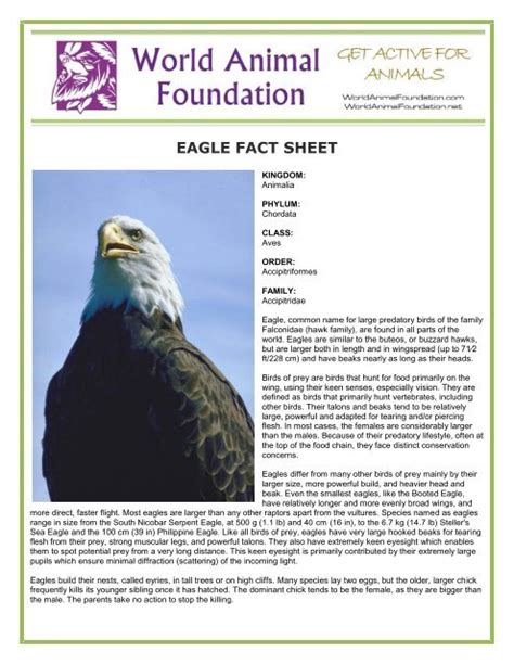 first eagle overseas fact sheet.